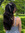 naiya | 3 comments