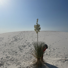 Sbonnell2007