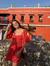Sofia T...