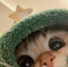 Dreamie