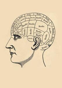 paganfrogs_bookshelf