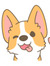 Naq