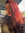 Rawan Sharaf