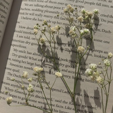 emilyy &#x1f4d6;&#x1f3a7;