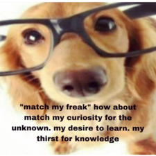 ニキフォロブ青井