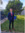 David Thompson | 5 comments
