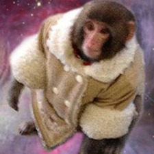 Ikea Monkey Official™️