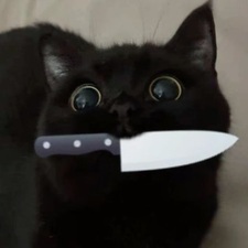 Shi