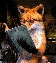 Fox Quixote