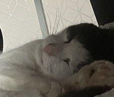 natasza&#x1fae7;&#x1fa90;