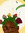 Leah | 8 comments