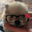 Qi