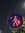 avann