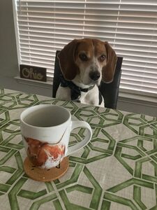 Kelli  C.