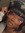 Iman Rice