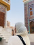 Rizna Riyadh