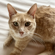 Ludmila