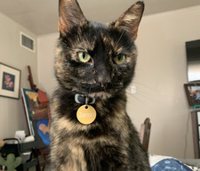 Larissa
