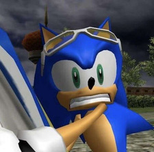 #1 chicken and waffle lover