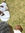 member photo member photo