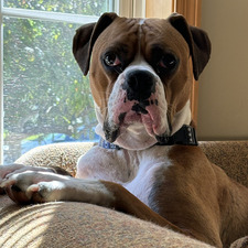 Christine Sizer Davis