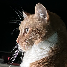 Nick