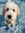 Brecken Koch | 1 comments