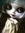 lostfish