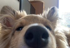 Unstable Blob the third