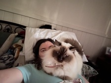 Charlotte Pitt-Little