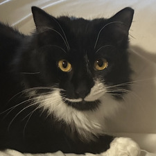 dani &#x1f4da;&#x1f41b;