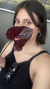 Andrea Ivette
