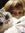 xtoscat13