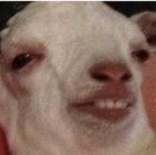 T W
