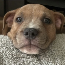 teagan