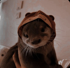 escapism isn’t cheap