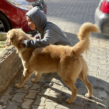 Amira khaled