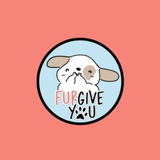Furgive You