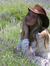 Libby C...