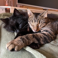 Mikayla&#x1f9da;&#x1f4da;&#x1f431;