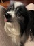 Lucyyyy