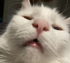 Peter