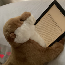 (⁠｡⁠•́⁠︿⁠•̀⁠｡⁠)