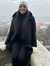 Avni