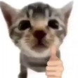 Ky