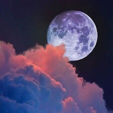 M A R I E ⋆:･ﾟ✧:･.☽˚｡･ﾟ✧:･