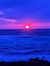 Erica H