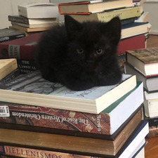 goddessofthefullmoon