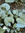 John C | 1 comments