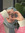 Shadan